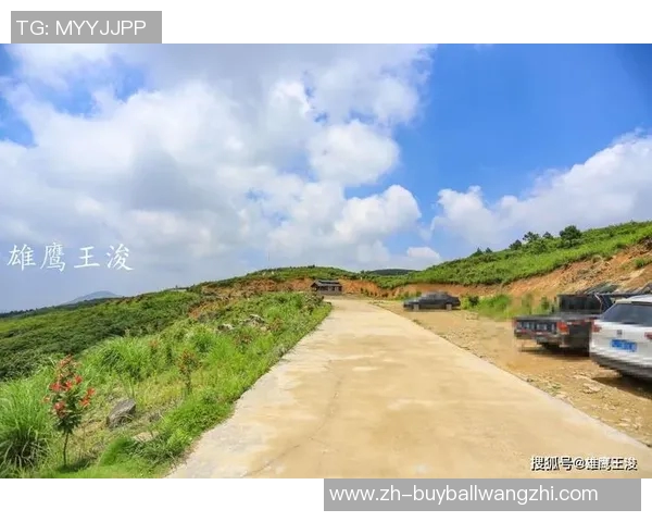 2026年3月份新闻杭州极限运动队状态引发热议专家与爱好者各执己见